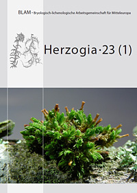 Titelseite Herzogia 23 Heft1, Orthotrichum rogeri; Foto: Michael Lüth