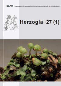 Titelbild/Cover Herzogia 27 Band 1 Mannia triandra (Photo: J Hentschel)
