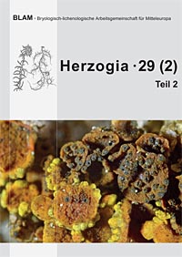 Titelseite Herzogia 29 Heft 2 Teil 2: Apothecien von Xanthoria polycarpa mit unterschiedlich starkem Befall mit Lichenoconium xanthoriae. Foto: J. Rettig