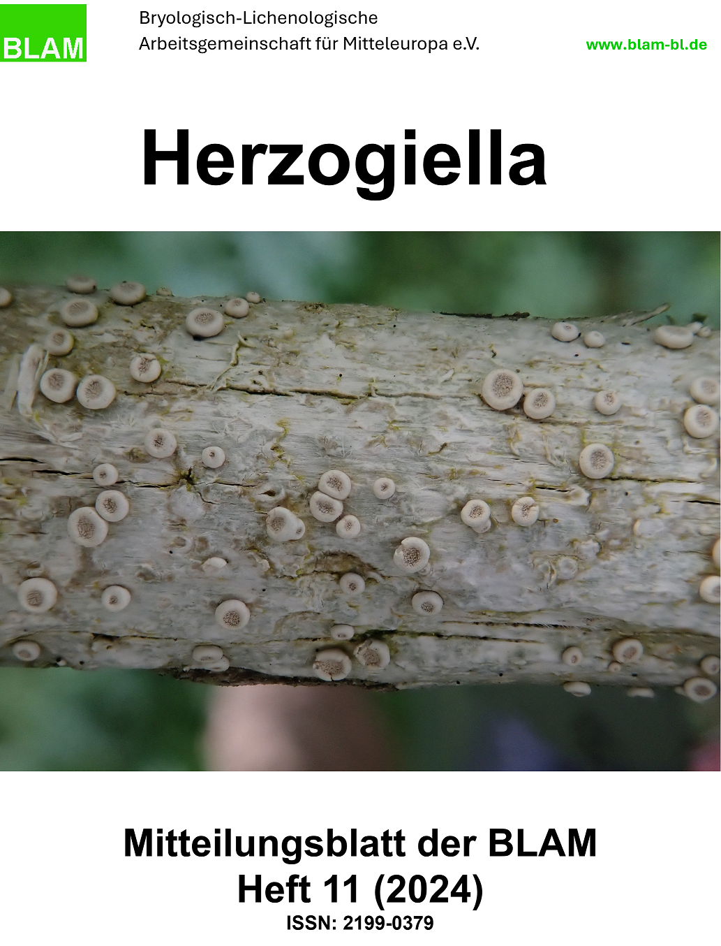 Herzogiella 11 Cover klein